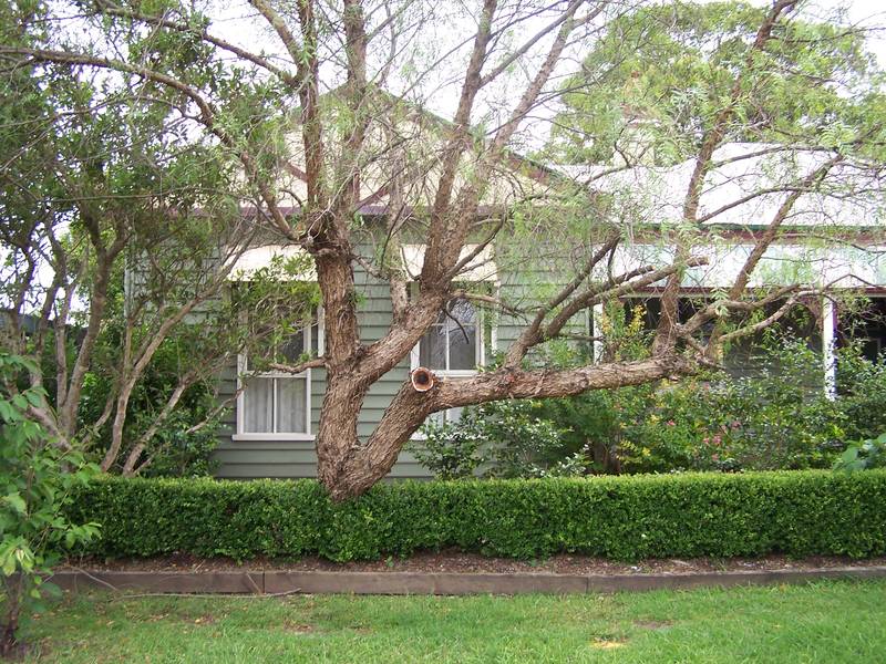 Charming Berry Home Picture