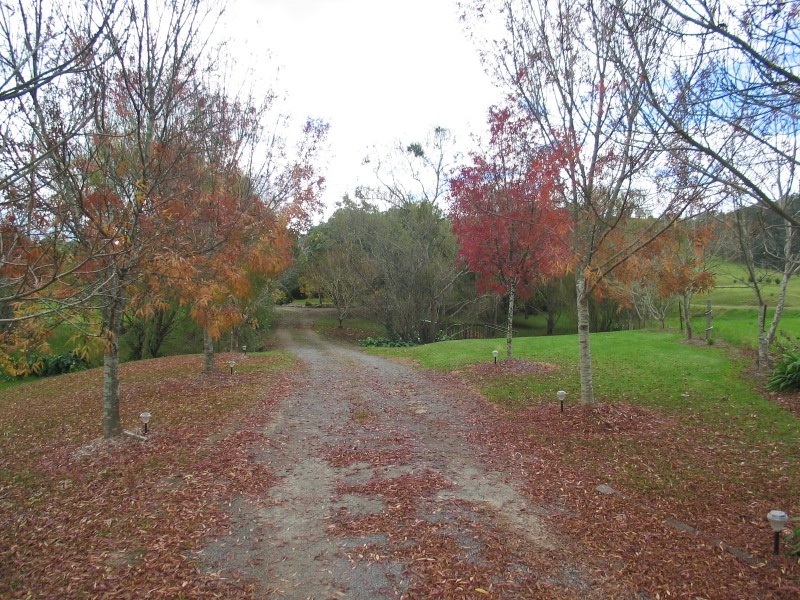 When First Impressions Count Picture 3