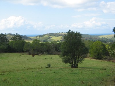 Banksia Hill Picture