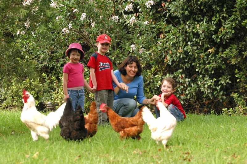 Meadow Mountain Lodge-Holiday Rental Picture 3