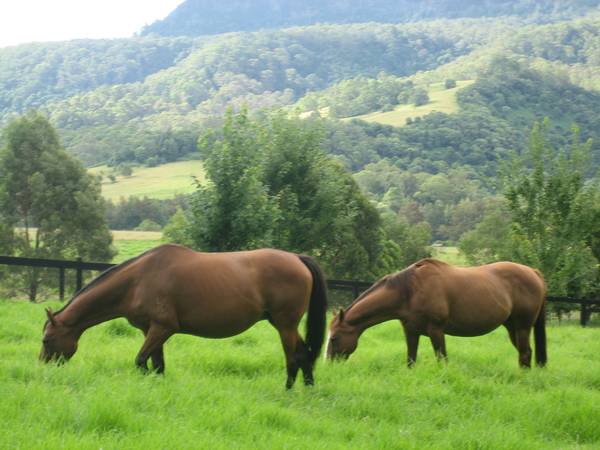 Winterbrook-Holiday Rental Picture 2