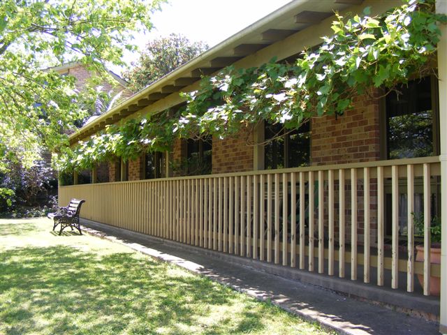 What A View Picture 2