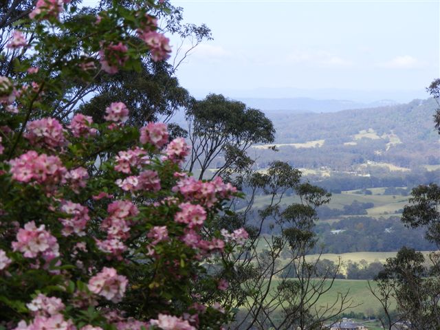 What A View Picture 1