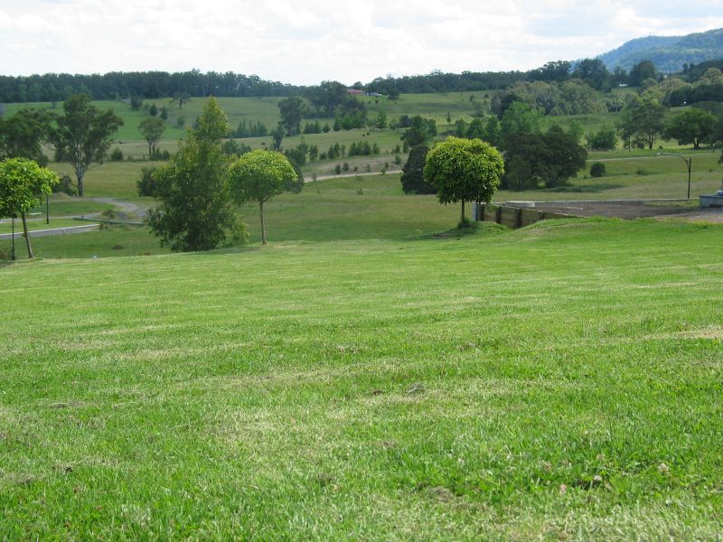 Build Your Dream Picture 1