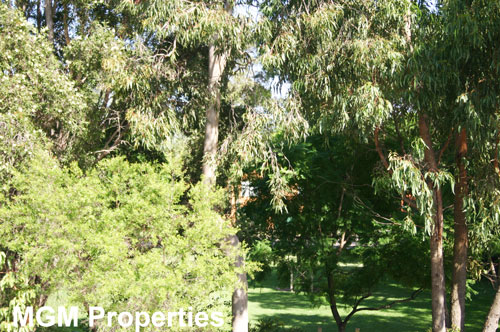 A very special address... Picture 3