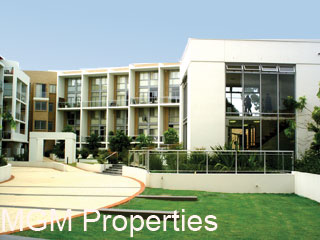 Sought After Complex!**DEPOSIT TAKEN** Picture 3