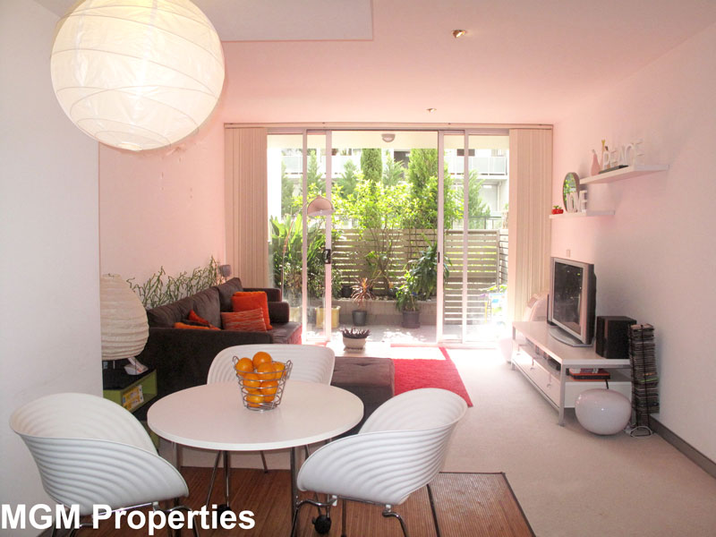 An Executive apartment for the young professional! Picture 1