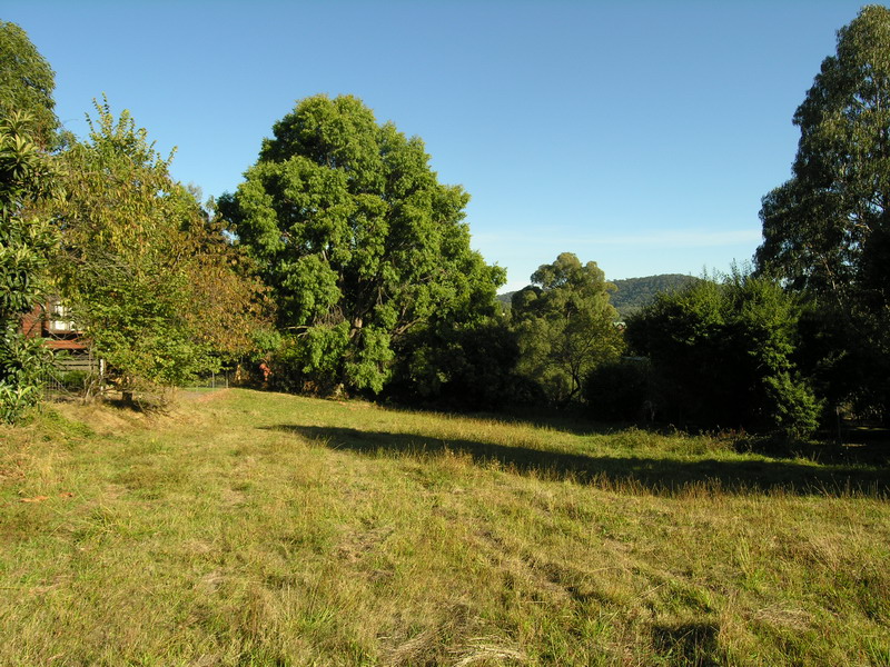 THE BEST OF BOTH WORLDS! Picture 1