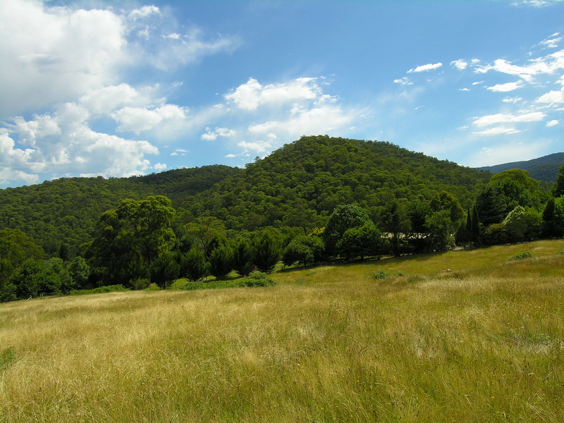 HIDDEN ACRES - FOOT OF MT BULLER Picture 1