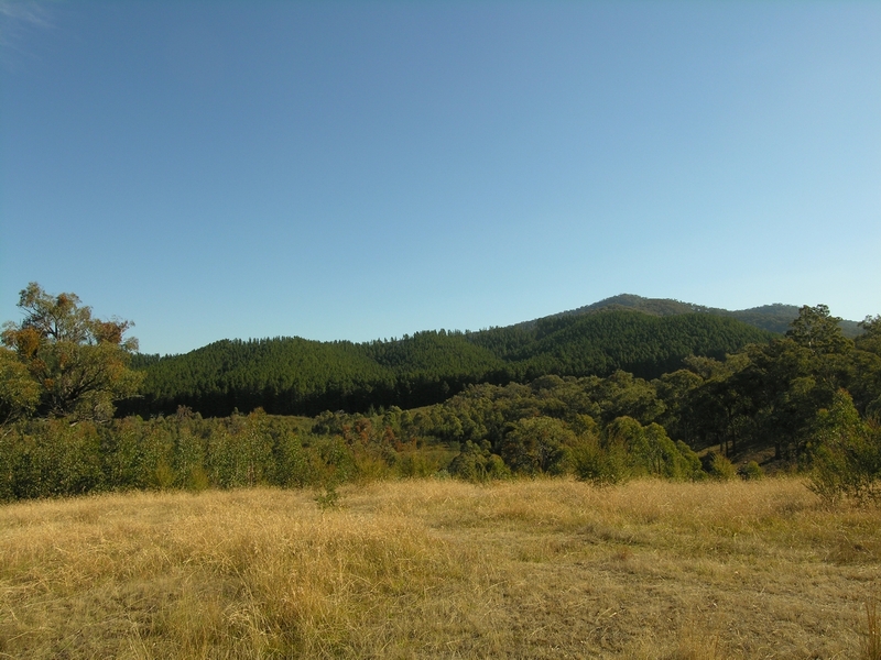 PARKLAND ESTATE Picture 2