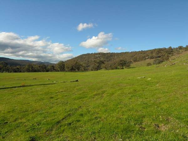 EXCELLENT VALUE - 100 ACRES ! Picture 2