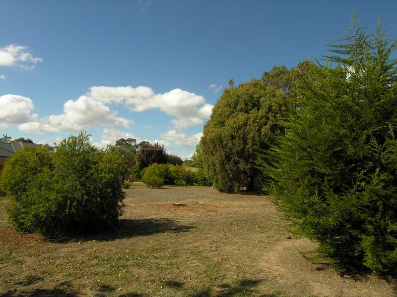 HIGHTON LANE BUILDING ALLOTMENT Ref 526 Picture 1