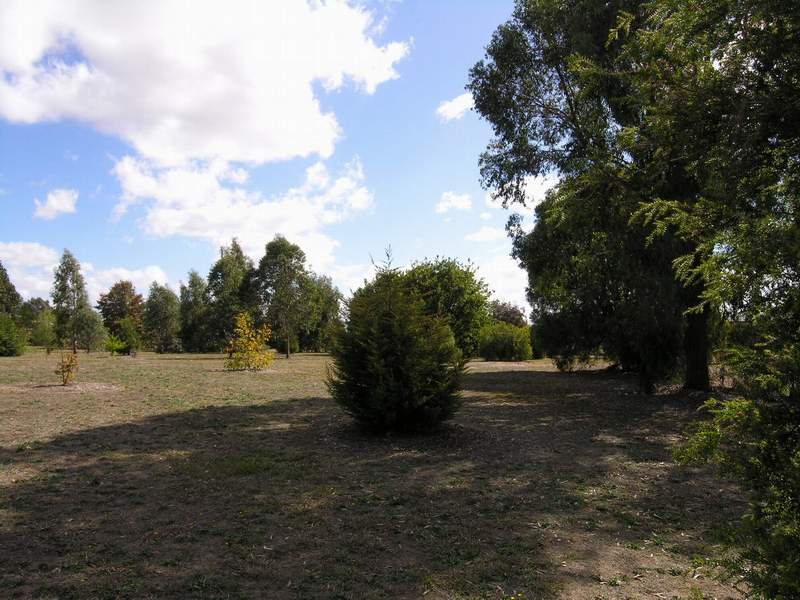 HIGHTON LANE BUILDING ALLOTMENT Ref 526 Picture 3