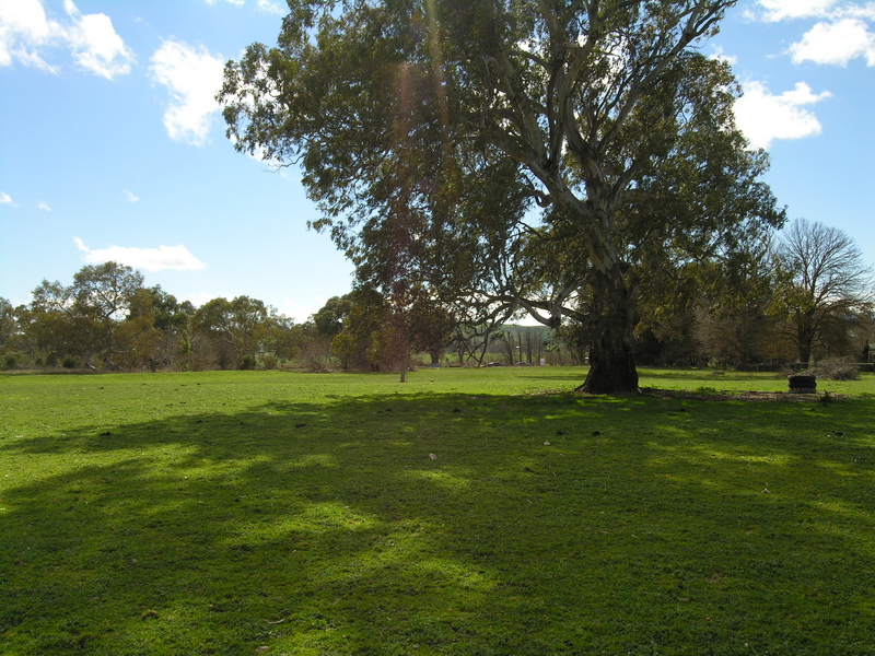 SEARCHING FOR MANSFIELD TOWNSHIP ACREAGE? Picture 2