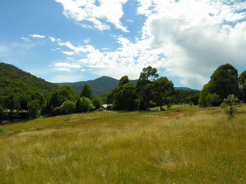HIDDEN ACREAGE - FOOT OF MT BULLER Picture 3