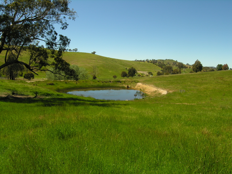 A GOOD WEEK-END JUST GOT A WHOLE LOT BETTER! Picture 2