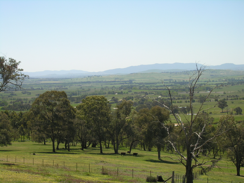 MANSFIELD'S BEST KEPT SECRET - SOLD!! Picture MANSFIELD'S BEST KEPT SECRET - SOLD!! Picture