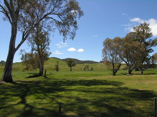 Delatite River Frontage - SOLD Picture