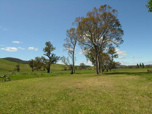 Delatite River Frontage - SOLD Picture