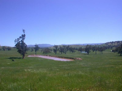 MERINDA PARK ESTATE Ref:250 Picture