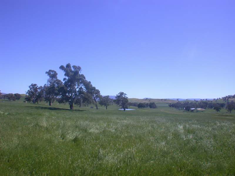 MERINDA PARK ESTATE Picture 2