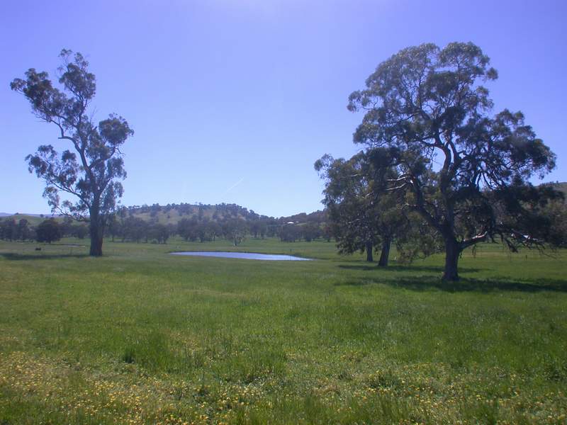 MERINDA PARK ESTATE Picture 1