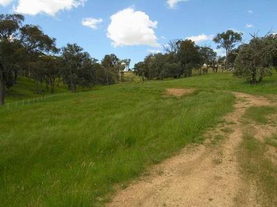VALUE SMALL ACREAGE BY LAKE EILDON
Ref: 458 Picture