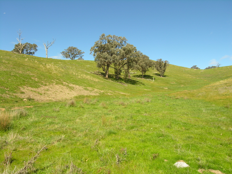 15 ACRES WITH PICTURESQUE VIEWS - Ref:783 Picture 3