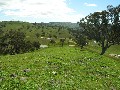 15 ACRES WITH PICTURESQUE VIEWS - Ref:783 Picture