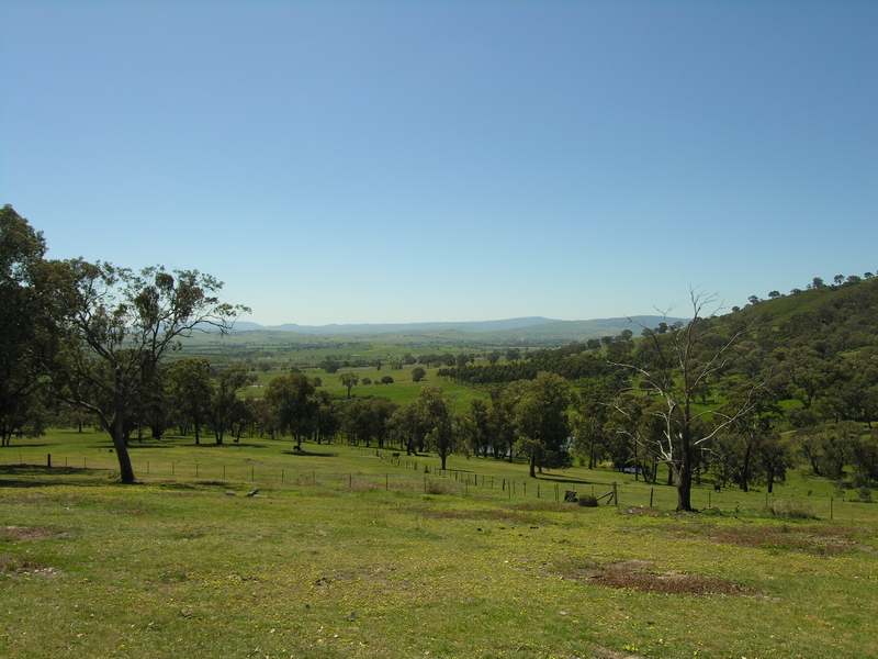 MANSFIELD'S BEST KEPT SECRET - SOLD!!! Picture 3