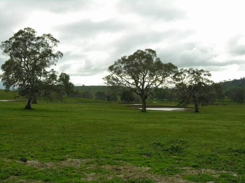 LIFESTYLE ACRES - SO CLOSE TO TOWN! Ref:656 Picture 3