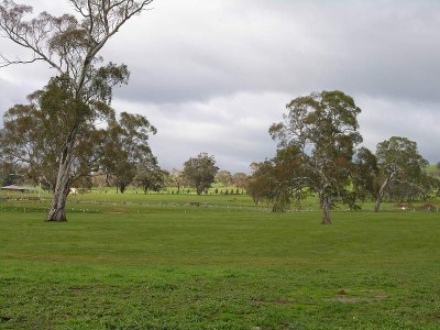 LIFESTYLE ACRES - SO CLOSE TO TOWN! Ref:656 Picture