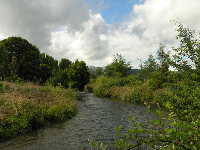 A MERRIJIG RIVERFRONT LIFESTYLE AWAITS! Picture 2