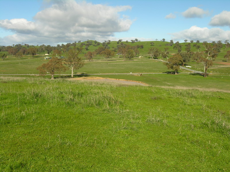 11.5 ACRES WITH MOUNTAIN VIEWS - SO CLOSE TO TOWN Picture 3