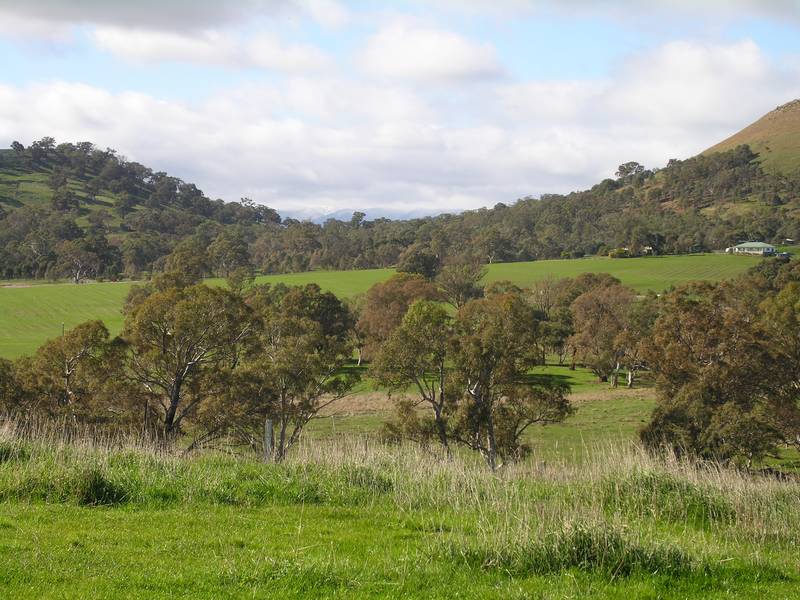 11.5 ACRES WITH MOUNTAIN VIEWS - SO CLOSE TO TOWN Picture 2