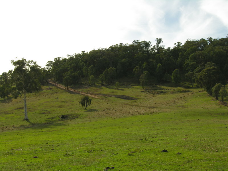 GIVE ME LAND, LOTS OF LAND.... Picture 3