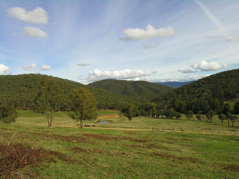 GIVE ME LAND, LOTS OF LAND.... Picture 2