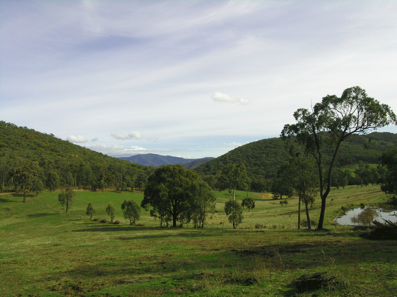 GIVE ME LAND, LOTS OF LAND.... Picture 1