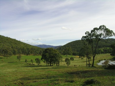 GIVE ME LAND, LOTS OF LAND.... Picture GIVE ME LAND, LOTS OF LAND.... Picture