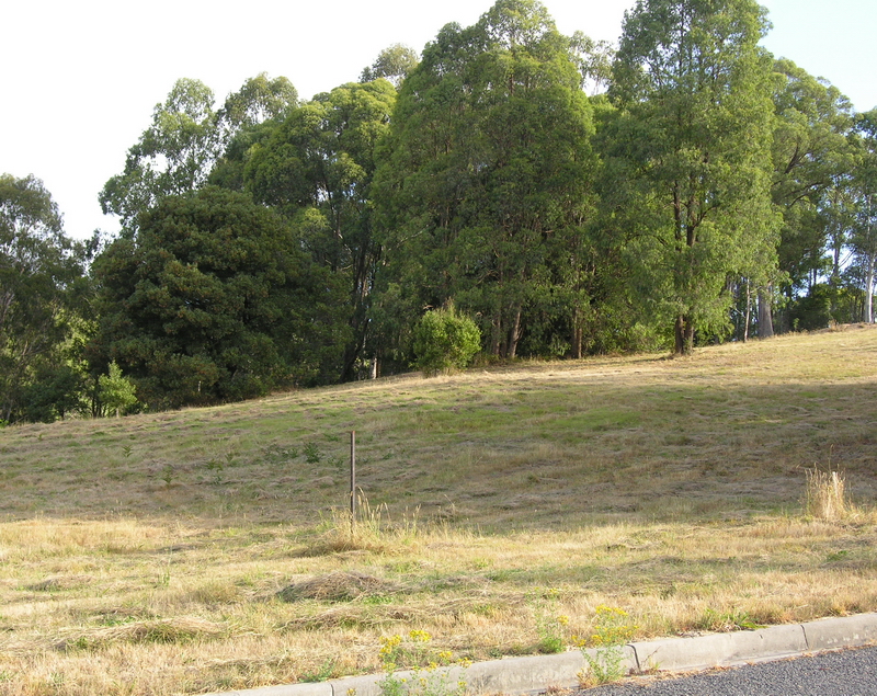 Build Your Mountain Hide-away with All Town Services! Picture 1