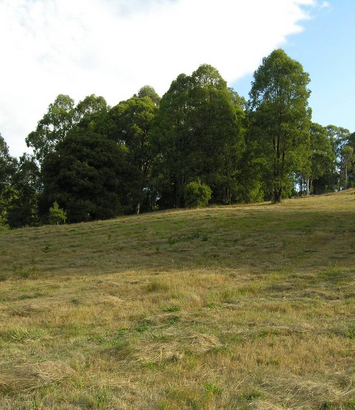 Build Your Mountain Hide-away with All Town Services! Picture 2