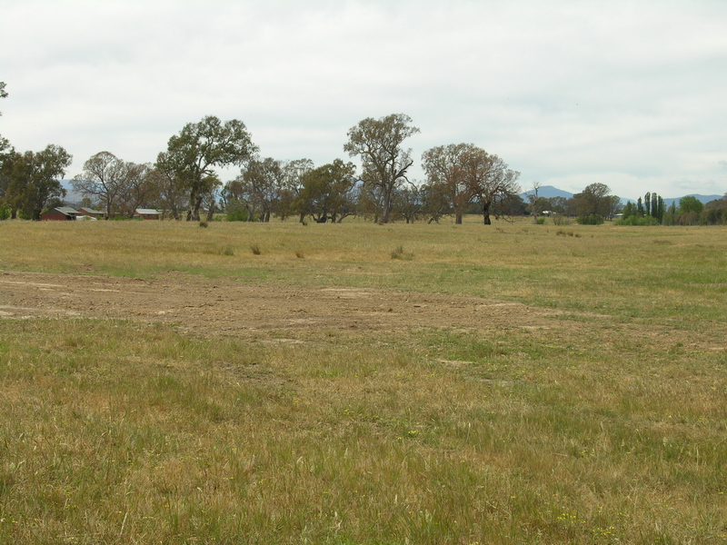 MANSFIELD LOCATION, LOCATION! Picture 2