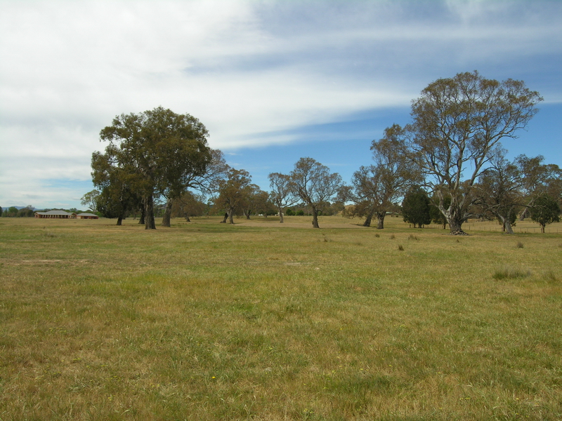 MANSFIELD LOCATION, LOCATION! Picture 1