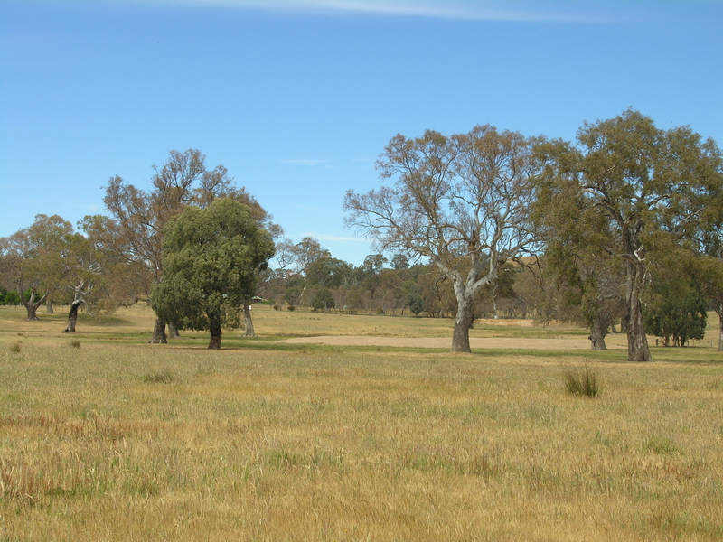 MANSFIELD LOCATION, LOCATION! Picture 3