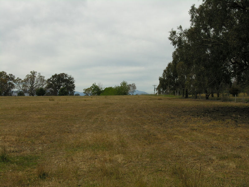 GO AHEAD LIVE THE HIGH LIFE! Picture 3