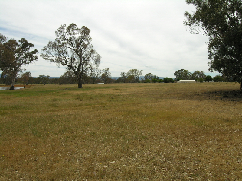 GO AHEAD LIVE THE HIGH LIFE! Picture 2