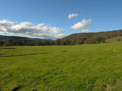 100 ACRES - SOLD ! Picture