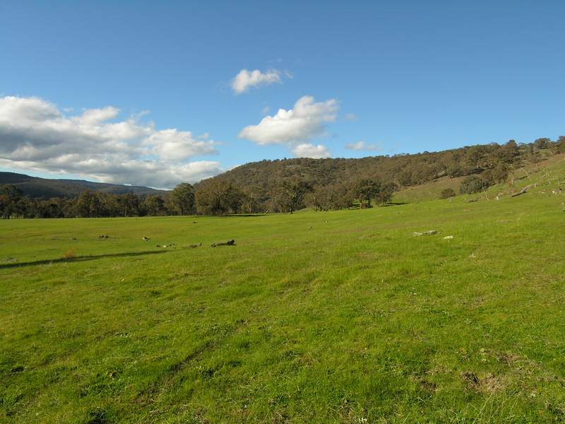 100 ACRES - SOLD ! Picture 2