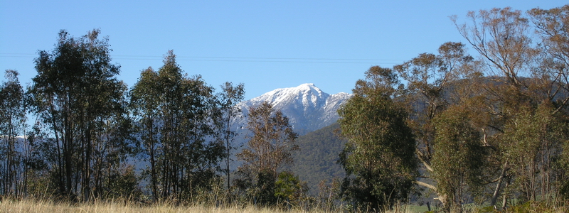 100 ACRES IN MERRIJIG - REF: 473 Picture 2
