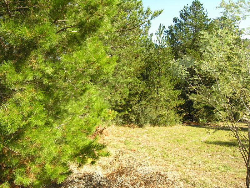 Build on "Trout Stream Way". Picture 2